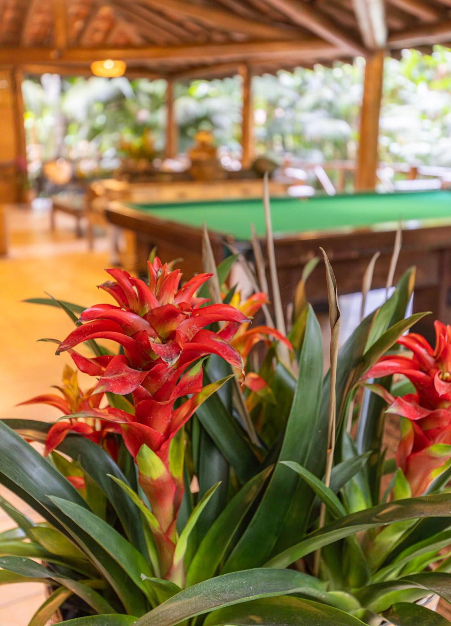 Itamambuca Eco Resort Ubatuba Bagian luar foto