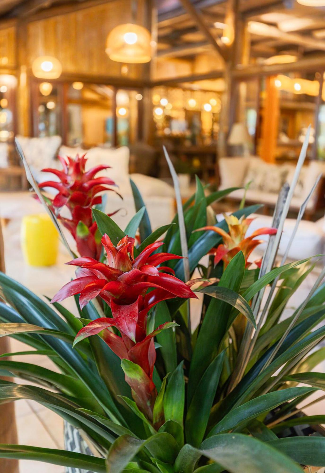 Itamambuca Eco Resort Ubatuba Bagian luar foto